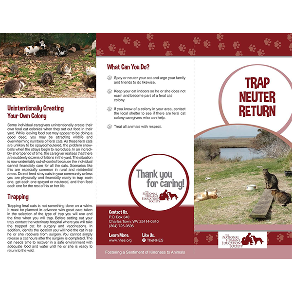 https://www.nhes.org/wp-content/uploads/2015/07/Trap-Neuter-Return.png