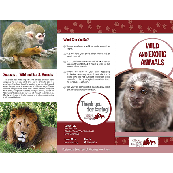 Wild and Exotic Animals | National 