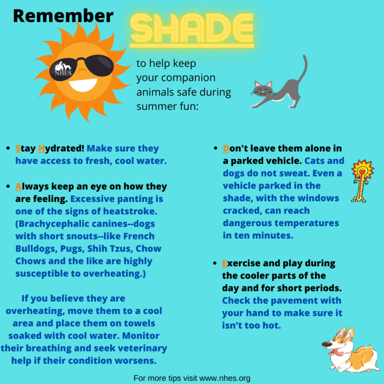 Warm Weather Reminders - National Humane Education Society